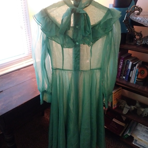 VGE-50s-Dress-Mint-Green-Nylon-Chiffon-LRGE 10-12 - Picture 4 of 8
